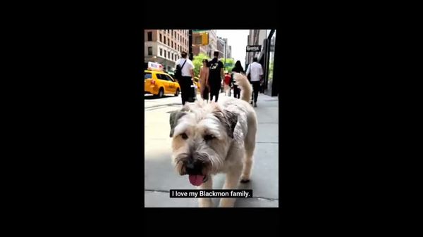 Stella walking in Manhattan